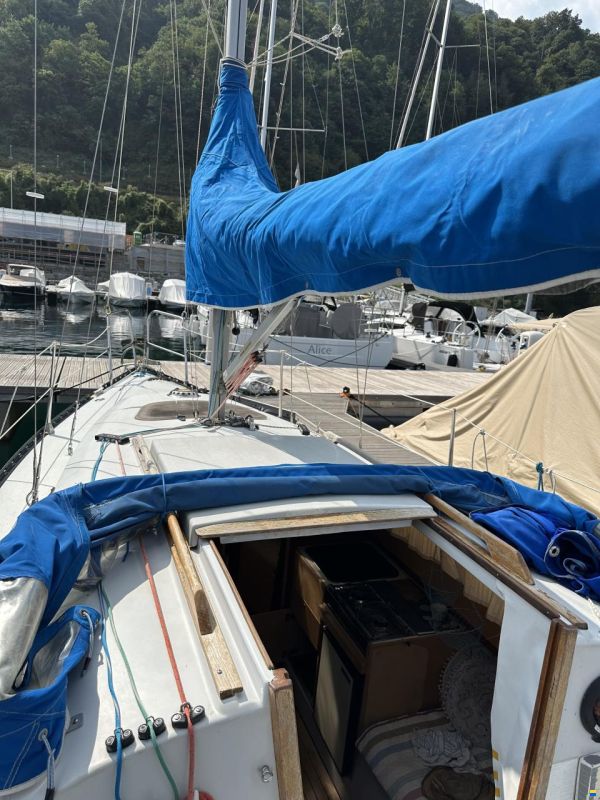Neptun 27