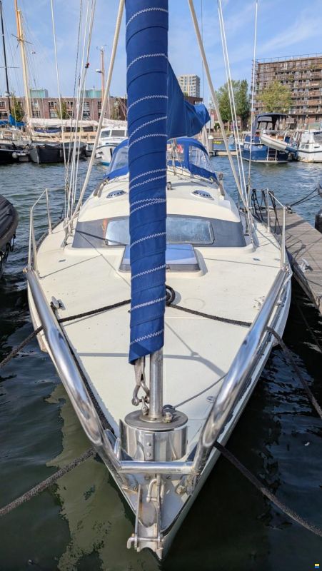 Sturgeon 28