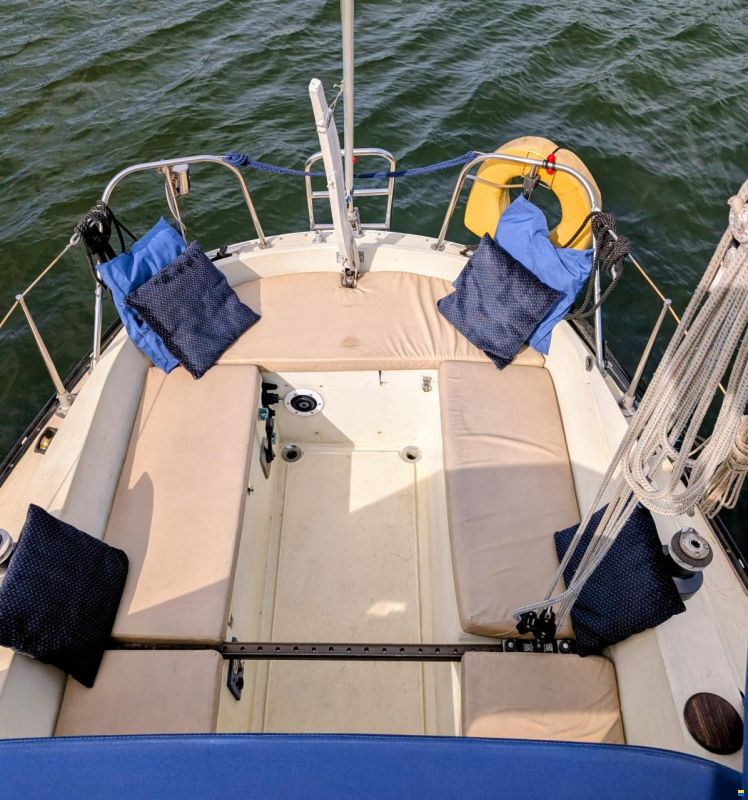 Sturgeon 28