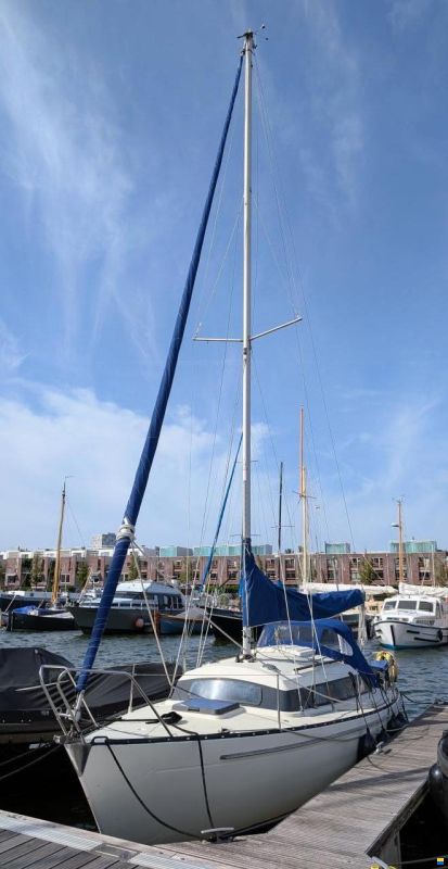 Sturgeon 28