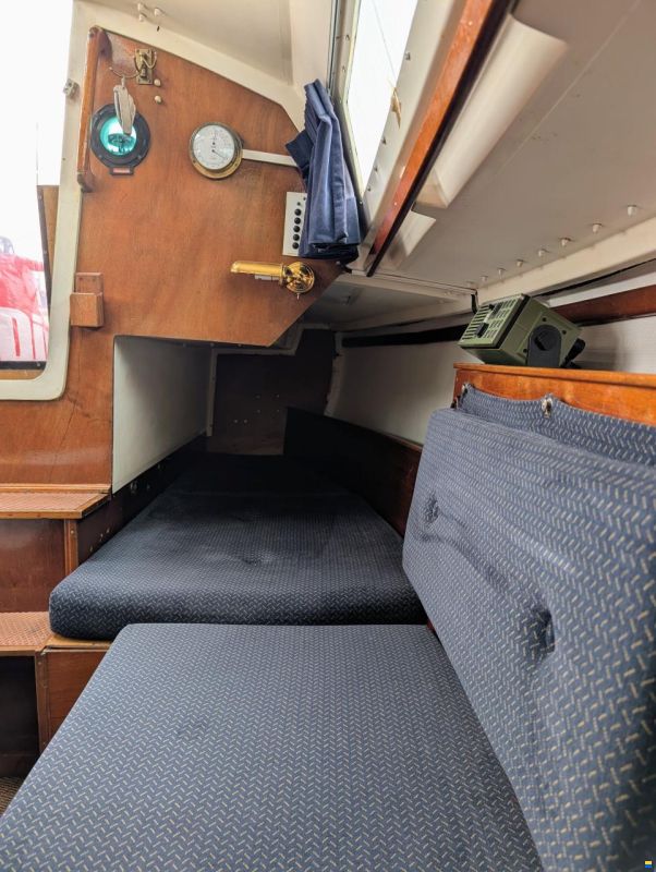 Sturgeon 28