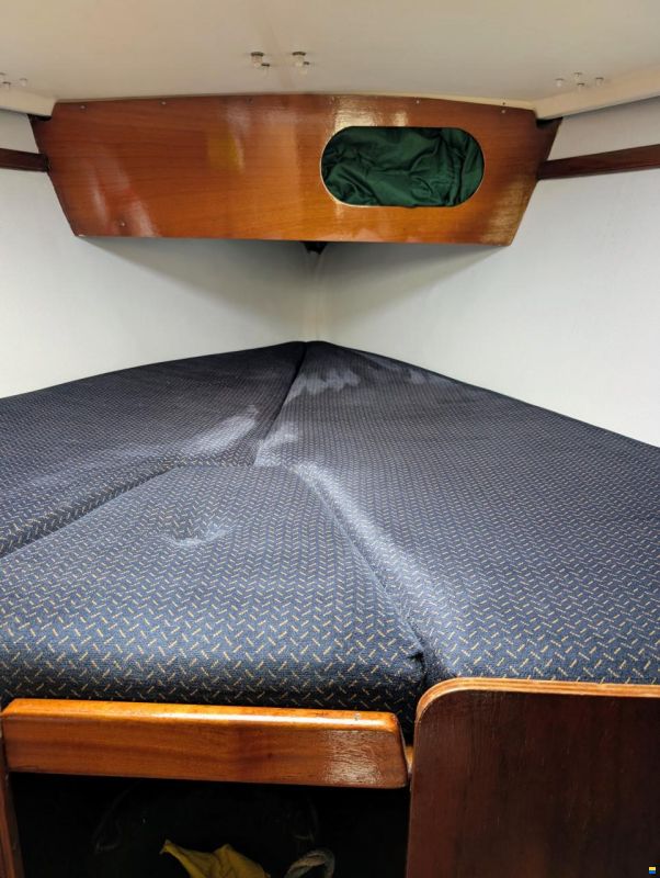 Sturgeon 28