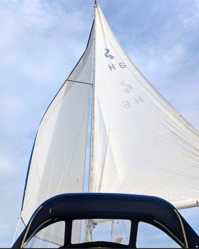 Sturgeon 28