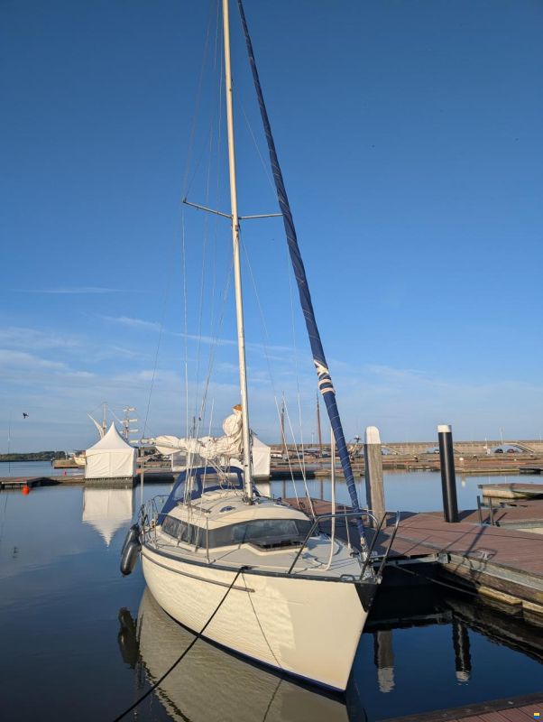 Sturgeon 28