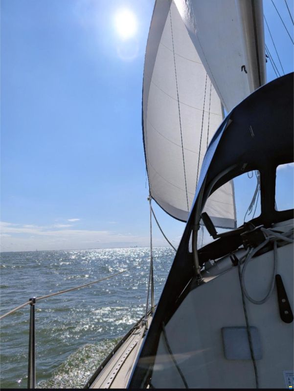 Sturgeon 28