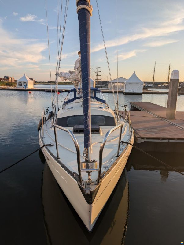 Sturgeon 28