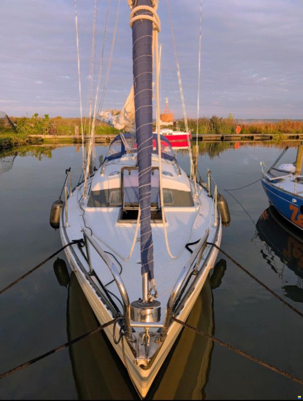 Sturgeon 28