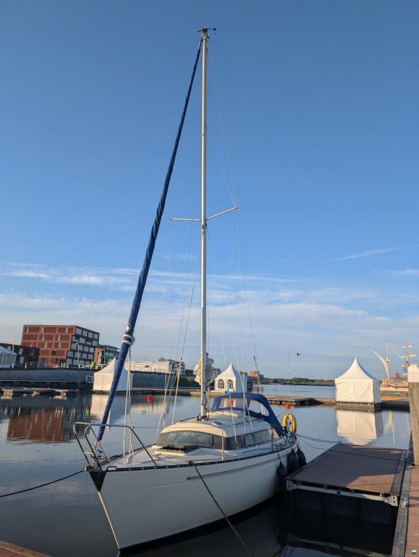 Sturgeon 28