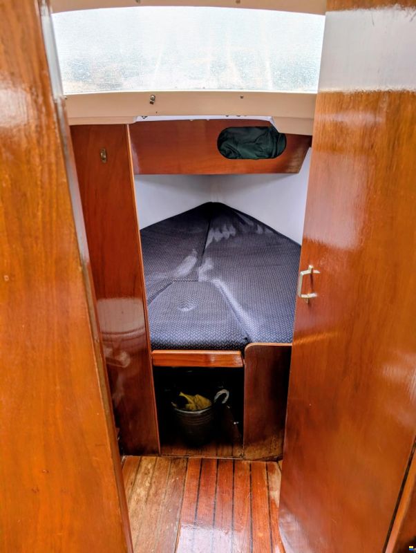Sturgeon 28