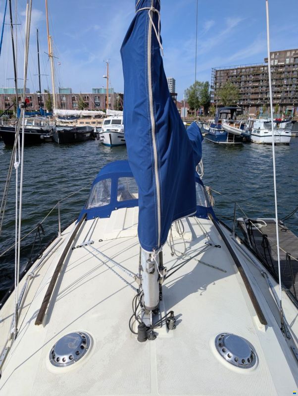 Sturgeon 28