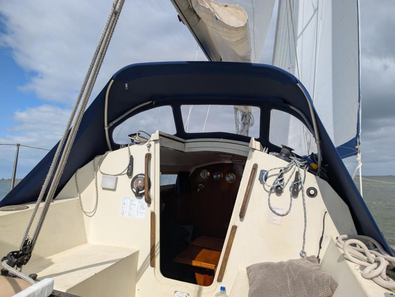 Sturgeon 28