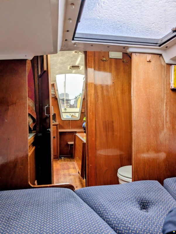 Sturgeon 28