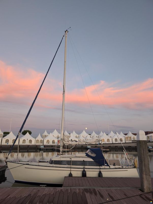 Sturgeon 28