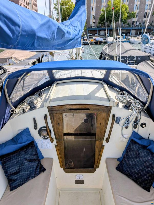 Sturgeon 28
