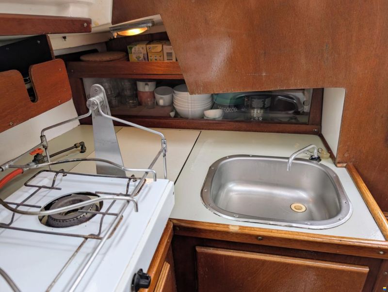 Sturgeon 28