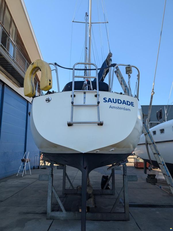 Sturgeon 28