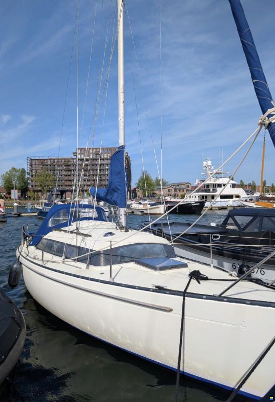 Sturgeon 28