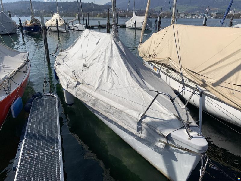 Maxi Dolphin 81