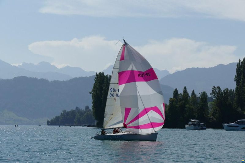 Maxi Dolphin 81