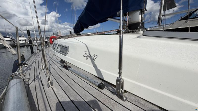 Luffe 37
