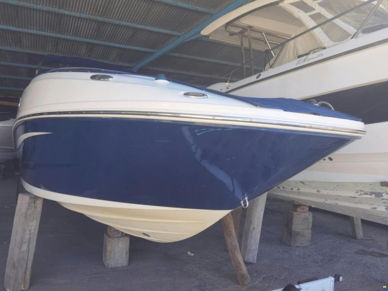 Sea Ray 260 Sundeck