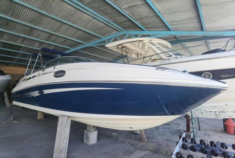 Sea Ray 260 Sundeck