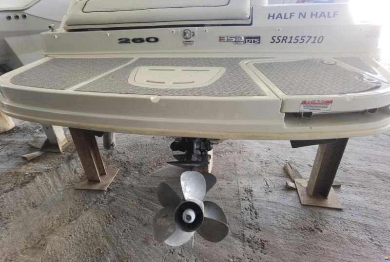 Sea Ray 260 Sundeck