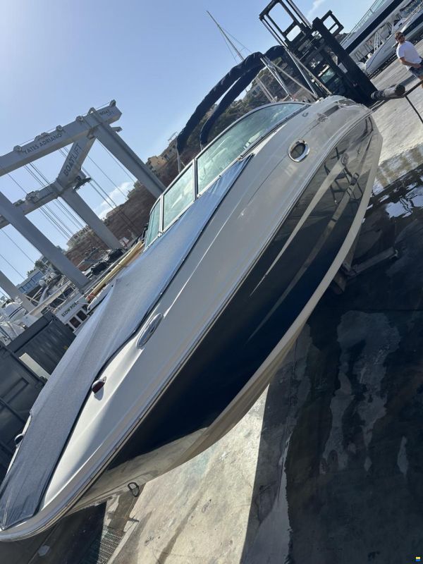 Sea Ray 260 Sundeck