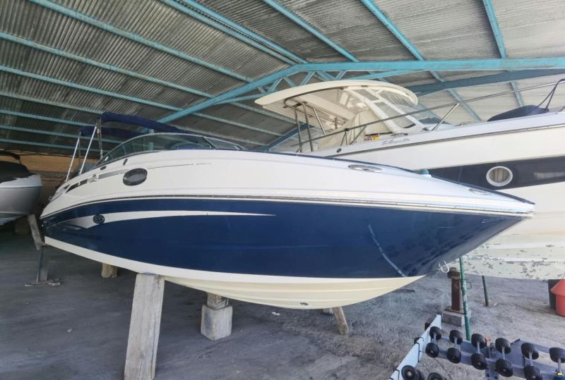 Sea Ray 260 Sundeck