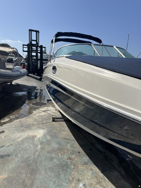 Sea Ray 260 Sundeck