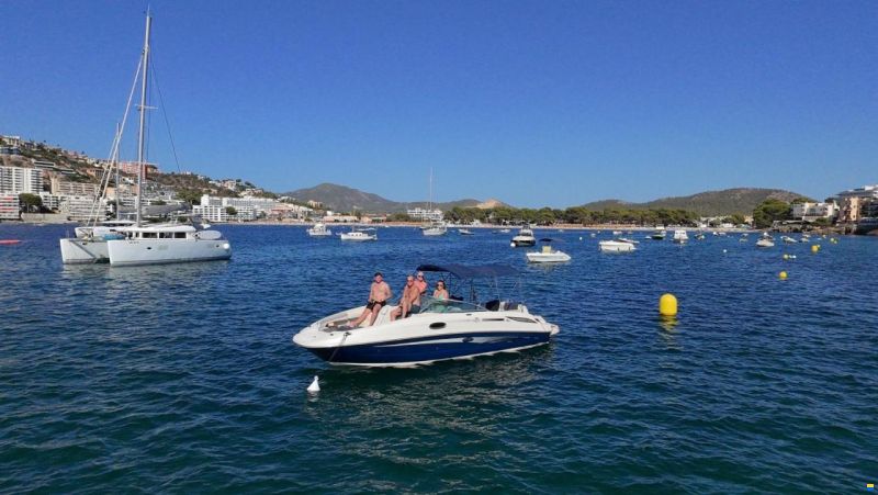 Sea Ray 260 Sundeck