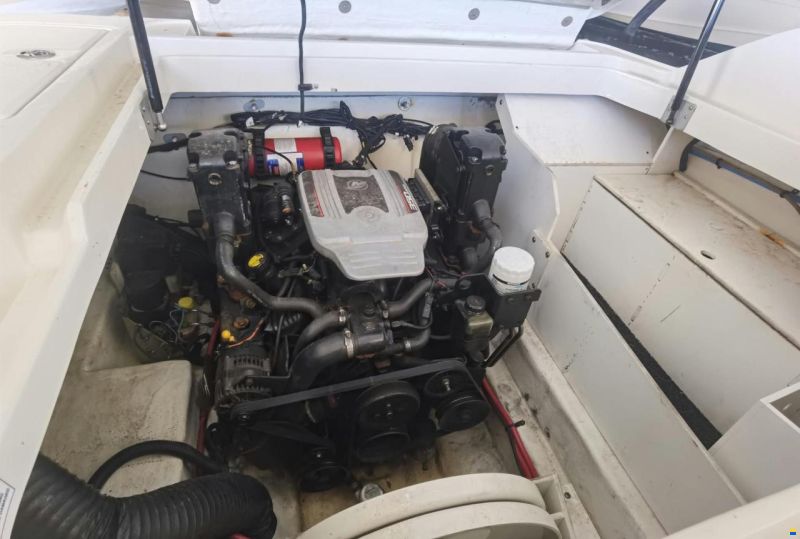 Sea Ray 260 Sundeck