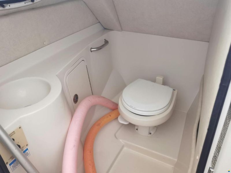 Sea Ray 260 Sundeck