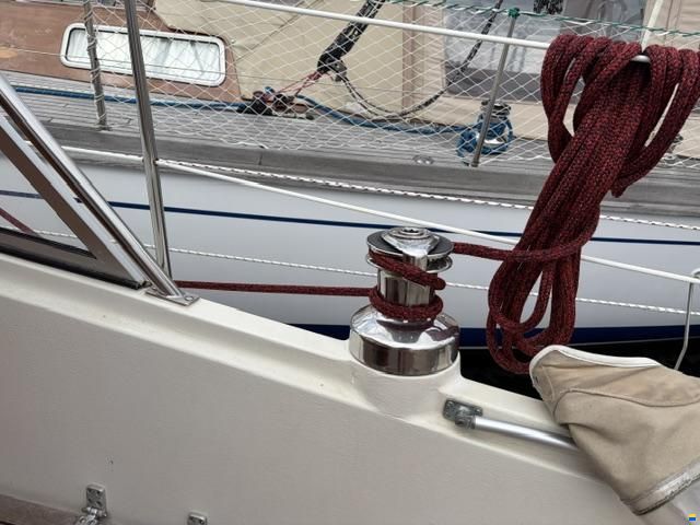 Venus 31