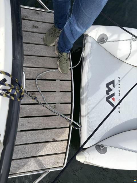 Venus 31