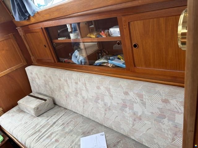 Venus 31