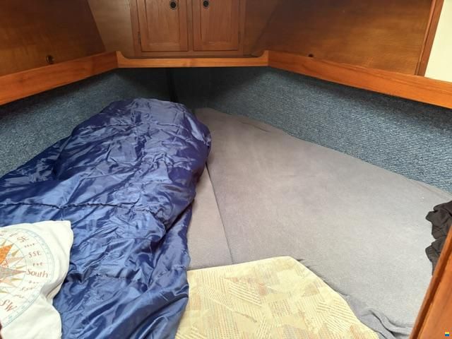 Venus 31