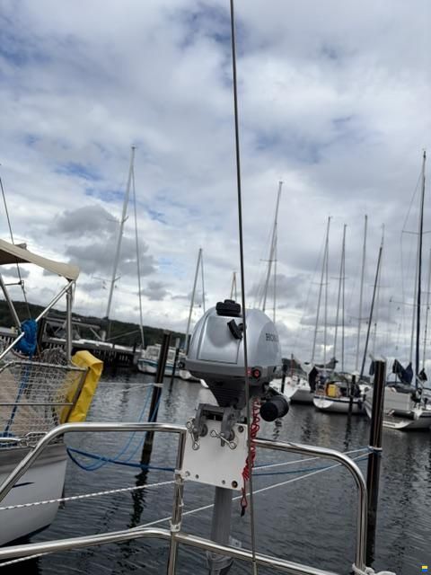 Venus 31