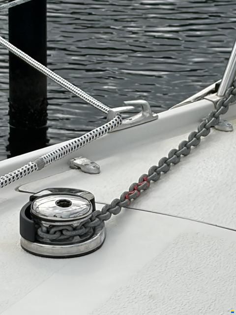 Venus 31