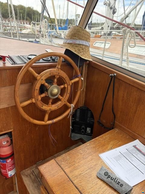 Venus 31