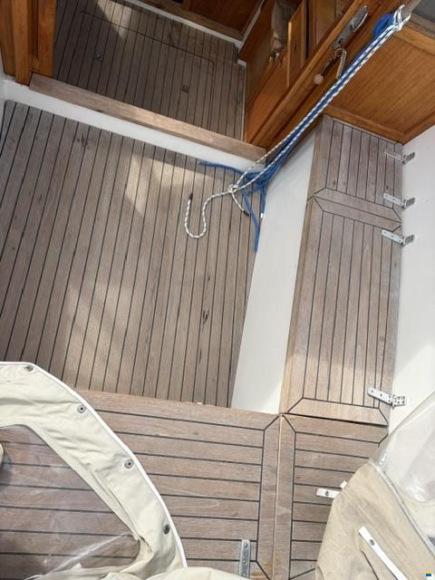 Venus 31