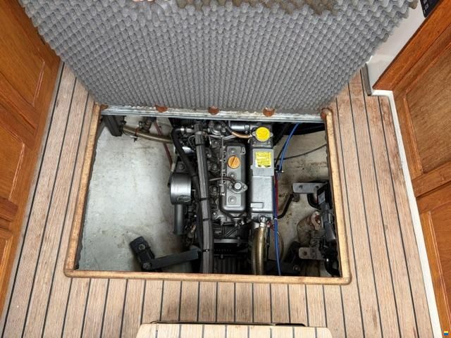 Venus 31
