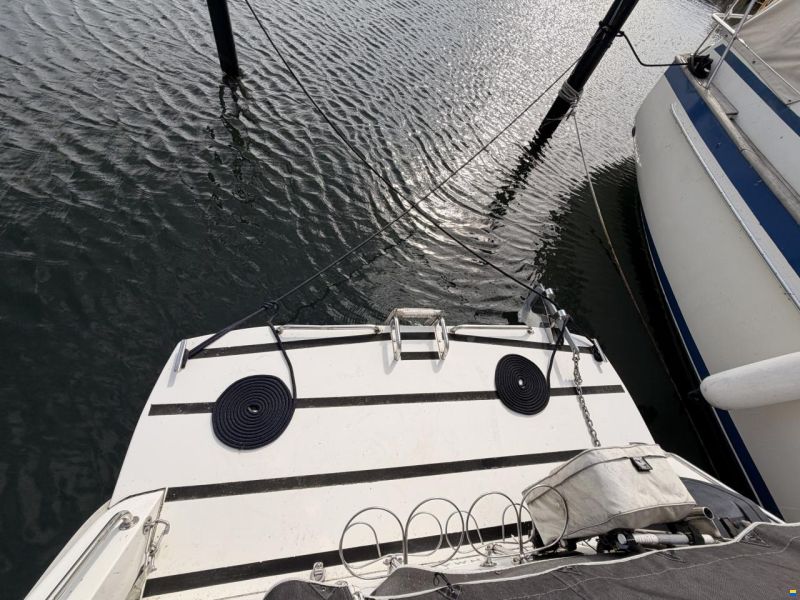 Finnmaster 7050 Sports Family