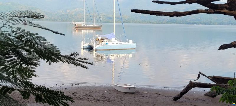 Richard Woods Gypsy 28