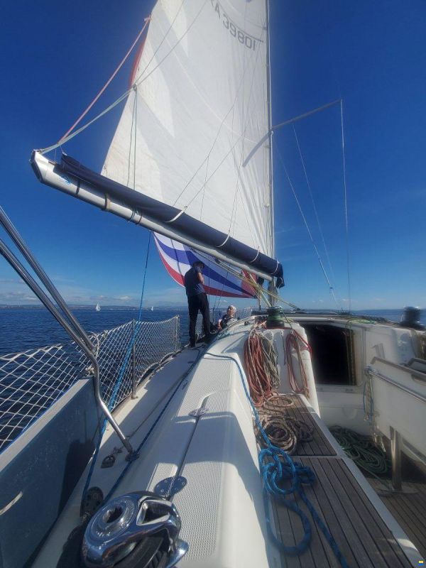 Harmony Yachts 42