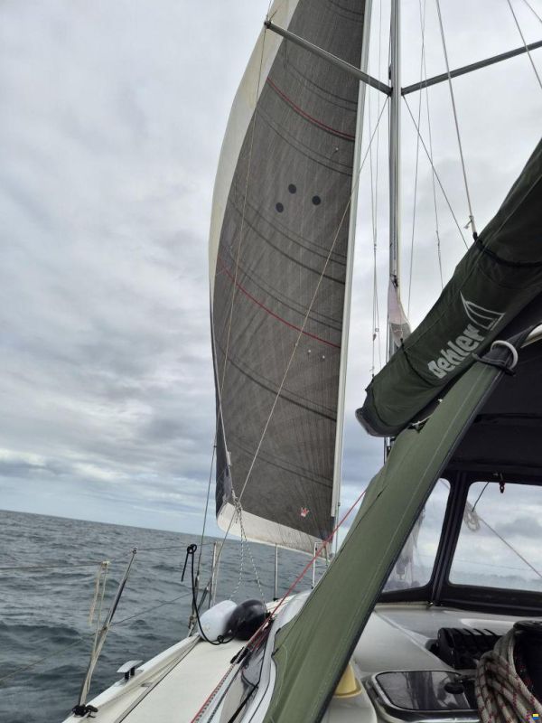 Dehler 38