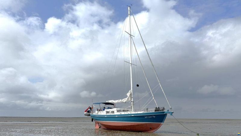 Noordkaper 42