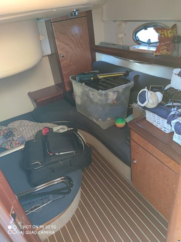 Bavaria 38 Sport