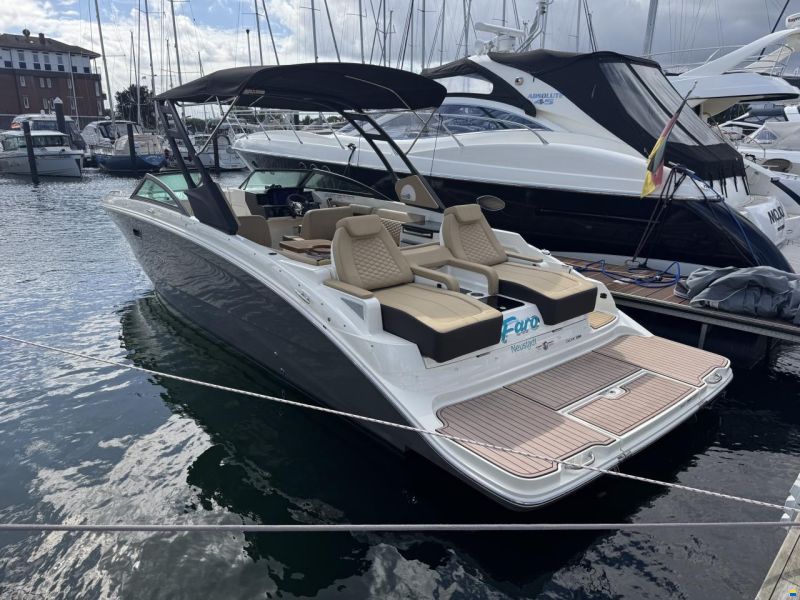 Sea Ray SDX 290
