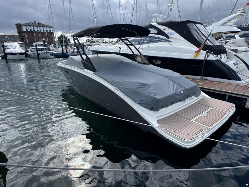 Sea Ray SDX 290